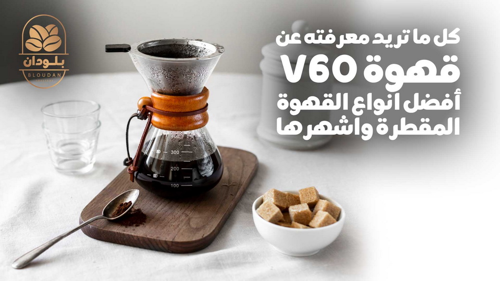 كل ما تريد معرفته عن قهوة V60: أفضل أنواع القهوة المقطرة وأشهرها