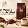 What Makes a Good Cup of Coffee? 7 Factors That Shape Flavor from Bean to Cup